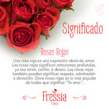 Rosa Eterna Del Amor 😍